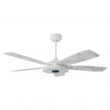 Carro USA S565H-L13-W7-1 - Striker 56-inch Indoor/Outdoor Smart Ceiling Fan, Dimmable LED Light Kit & Remote Con