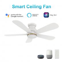  VS485Q-L12-W1-1-FM - Dubois 48'' Smart Ceiling Fan with Remote, Light Kit Included?Works with Google Assistant an