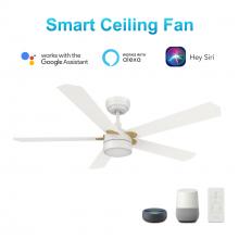 Carro USA VS525E2-L11-W1-1G - Tarrasa 52'' Smart Ceiling Fan with Remote, Light Kit Included?Works with Google Assistant a