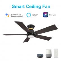 Carro USA VS525J1-L11-BG-1-FMA - Ascender 52-inch Smart Ceiling Fan with Remote, Light Kit Included, Works with Google Assistant, Ama