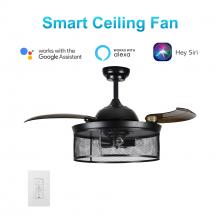 Carro USA VWGS-423D1-L11-BK-1 - Paloma 42-inch Smart Ceiling Fan with wall control, Light Kit Included, Works with Google Assistant,