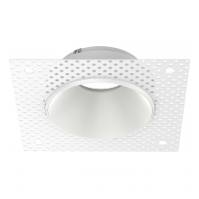  AS50217 - DLMD TRIM # TLRW