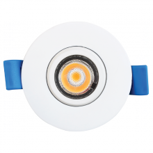  LR23236 - LED5W/DL2/GB/5CCT/FL