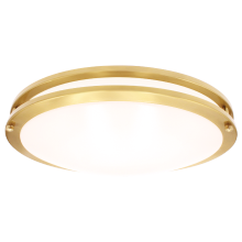  LR23299 - LED18"FLUSH/DR/BRS/5CCT/D