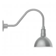  GNA114-49 - Deep Bowl 8" gooseneck wall light