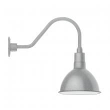  GNA115-49 - Deep Bowl 10" gooseneck wall light