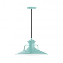 Montclair Light Works PEB143-48-L13 - 18" Homestead shade, LED Pendant with black cord and canopy, Sea Green