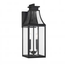  5-607-BK - Emery 2-Light Outdoor Wall Lantern in Matte Black