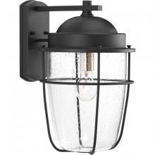 Progress P560067-031 - Holcombe Large Wall Lantern