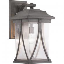  P560115-103 - Abbott Collection One-Light Large Wall Lantern