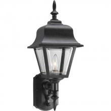  P5656-31 - Non-Metallic Incandescent One-Light Wall Lantern