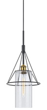  FX-3653-1 - 60W Rexburgmetal Glass Mini Pendant (Edison Bulb Not Included)