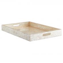  11679 - Triton Rect Tray |Pear-Lg