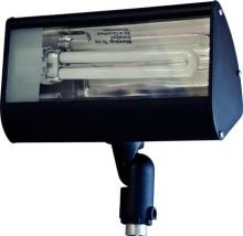  DF5970-B - FLOOD LIGHT 13W PL13 120V