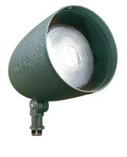  DPR38-G - PAR38 OPEN LAMP SPOT LIGHT 120V