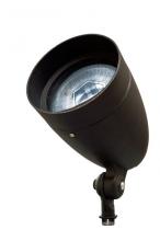  DPR38-GL-B - PAR38 SPOT LIGHT WITH GLASS COVER 120V