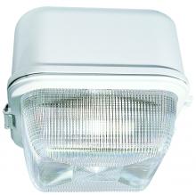  DW8861-W - MED CEILING FIX 70W HPS 120V