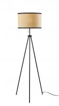  3954-01 - Raven Floor Lamp