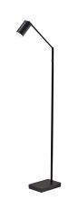  4275-01 - Colby LED Floor Lamp