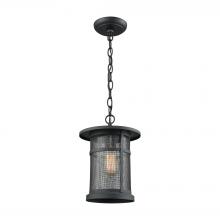  45017/1 - Aspen Lodge 1-Light Outdoor Pendant in Textured Matte Black