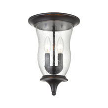  8002FM/75 - Thomas - Trinity 9'' Wide 2-Light Outdoor Flush Mount - Oil Rubbed Bronze