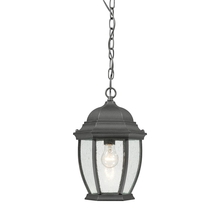  SL92337 - Thomas - Covington 9.5'' Wide 1-Light Outdoor Pendant - Black