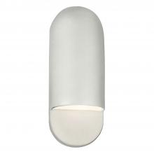  CER-5620W-BIS-LED1-1000 - Small ADA Capsule Outdoor LED Wall Sconce