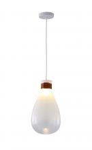  DLS30P10W - Pendant Metal & Glass