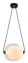  DLS38P12W - LED Pendant Metal & Glass