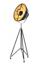  DLS74F23B - Floor Lamp Metal