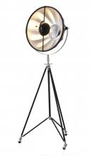  DLS75F23B - Floor Lamp Metal