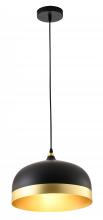  SR05BG - Pendant Aluminum