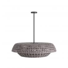 Arteriors Home DMS08 - Valdez Pendant