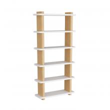 Arteriors Home FGS02 - Triton Bookshelf