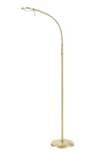  425840108 - Dessau Flex Gooseneck Floor Lamp