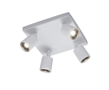  829230401 - Cayman - Ceiling Mount