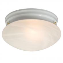  810310WH PL13 - Utility Flush Mount Ceiling Light - in White finish with Marbled Glass