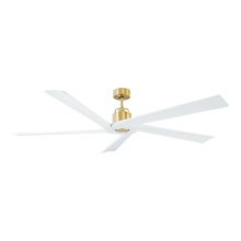  5ASPR70BBS - Aspen 70" Ceiling Fan