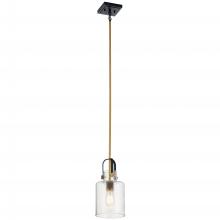  52035NBR - Pendant 1Lt