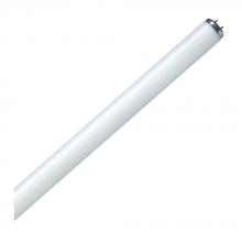 Standard Products 64252 - Fluorescent LINEAR T12 47.78IN Med Bipin Base 40W 5000K Program Start(PS) and Rapid Start(RS)