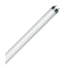 Standard Products 58635 - Fluorescent LINEAR T8 48IN Med Bipin G5 Base 25W 3000K Rapid Start (RS) Standard