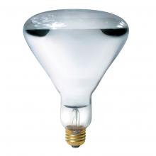 Standard Products 10251 - INCANDESCENT SPECIALTY LAMPS BR40 / MED BASE E26 / 250W / 120-130V Standard