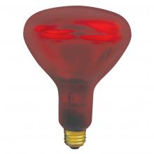  10252 - INCANDESCENT SPECIALTY LAMPS R40 / MED BASE E26 / 250W / 120-130V Standard