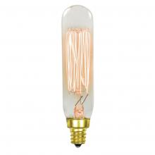  62411 - INCANDESCENT SPECIALTY LAMPS T8 / MED BASE E26 / 40W / 120V Standard