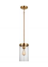  6590301EN7-848 - One Light Pendant