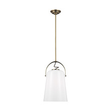 Visual Comfort & Co. Studio Collection LP1001TWB - Medium Pendant