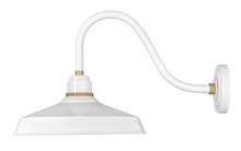  10443GW - Medium Gooseneck Barn Light