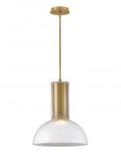  FR41577LCB-LL - Large Pendant