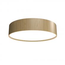  5012LED.45 - Cylindrical Accord Ceiling Mounted 5012 LED