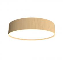  5013LED.34 - Cylindrical Accord Ceiling Mounted 5013 LED